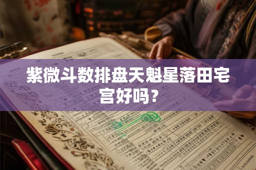 紫微斗数排盘天魁星落田宅宫好吗？