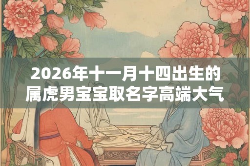 2026年十一月十四出生的属虎男宝宝取名字高端大气 2026年十一月十四出生的属虎男宝宝取名字高端大气