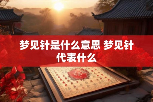 梦见针是什么意思 梦见针代表什么