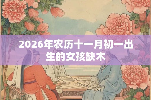 2026年农历十一月初一出生的女孩缺木