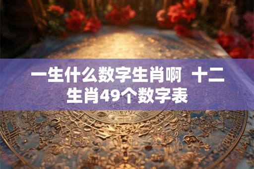 一生什么数字生肖啊  十二生肖49个数字表