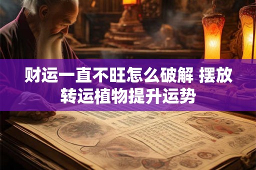 财运一直不旺怎么破解 摆放转运植物提升运势 财运一直不旺怎么破解 摆放转运植物提升运势