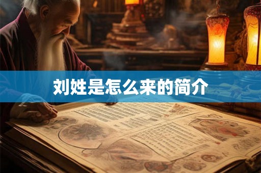 刘姓是怎么来的简介