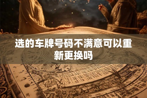 选的车牌号码不满意可以重新更换吗