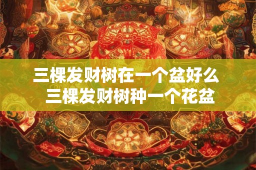 三棵发财树在一个盆好么 三棵发财树种一个花盆 三棵发财树在一个盆好么 三棵发财树种一个花盆
