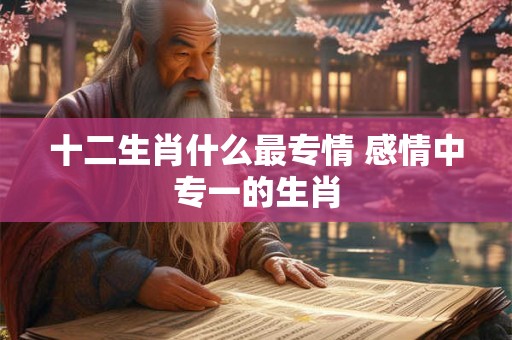 十二生肖什么最专情 感情中专一的生肖