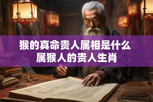 猴的真命贵人属相是什么 属猴人的贵人生肖