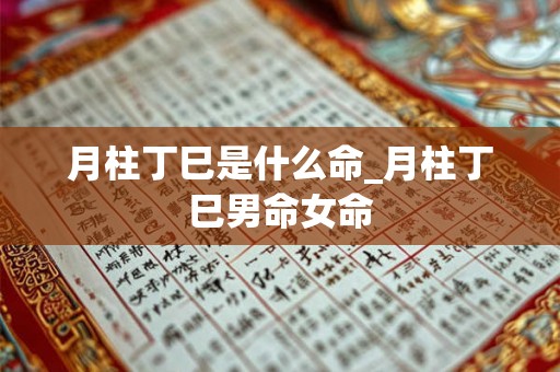 月柱丁巳是什么命_月柱丁巳男命女命