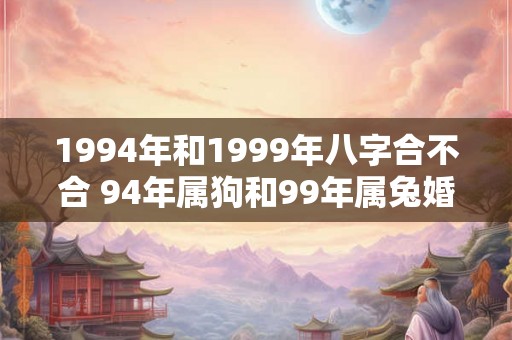 1994年和1999年八字合不合 94年属狗和99年属兔婚配