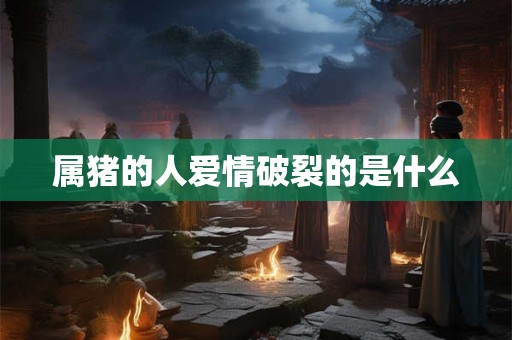 属猪的人爱情破裂的是什么
