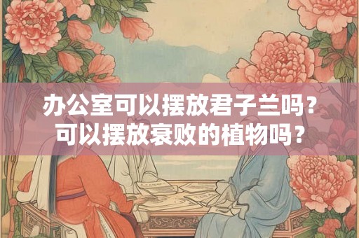 办公室可以摆放君子兰吗?可以摆放衰败的植物吗? 办公室可以摆放君子兰吗?可以摆放衰败的植物吗?