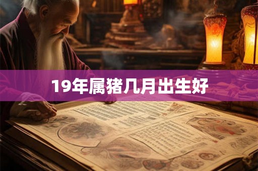 19年属猪几月出生好