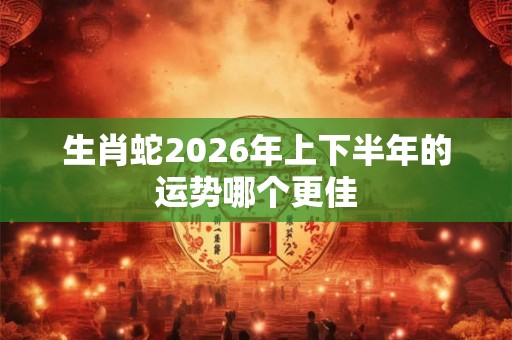 生肖蛇2026年上下半年的运势哪个更佳