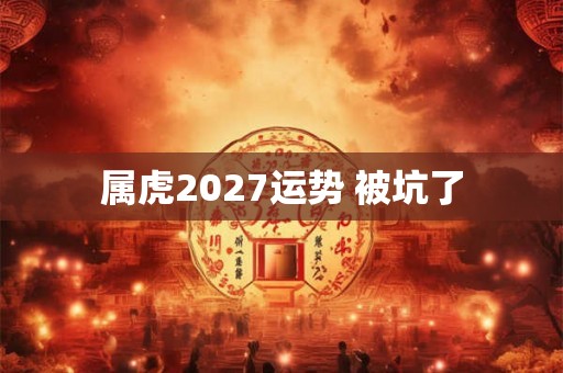 属虎2027运势 被坑了
