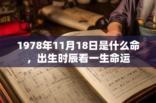 1978年11月18日是什么命，出生时辰看一生命运