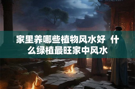 家里养哪些植物风水好  什么绿植最旺家中风水