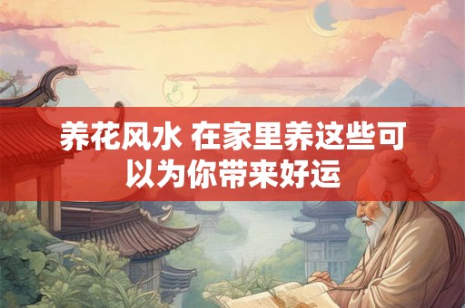 养花风水 在家里养这些可以为你带来好运