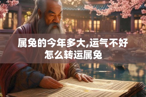 属兔的今年多大,运气不好怎么转运属兔 属兔的今年多大,运气不好怎么转运属兔