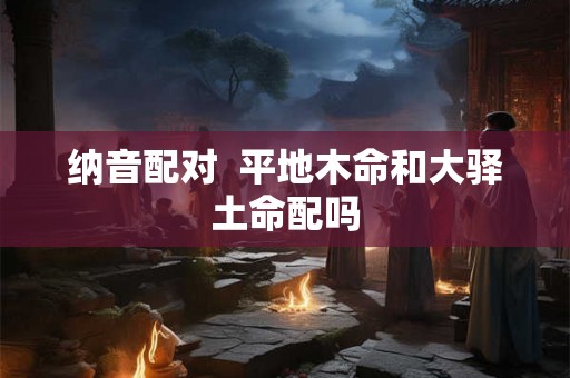 纳音配对  平地木命和大驿土命配吗