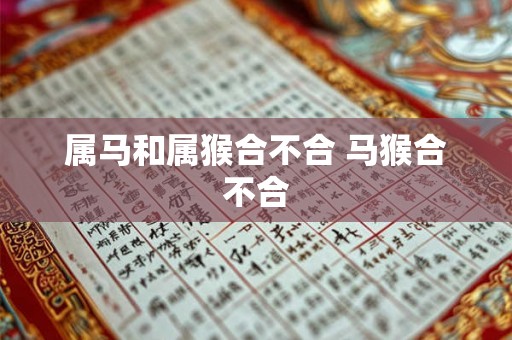 属马和属猴合不合 马猴合不合