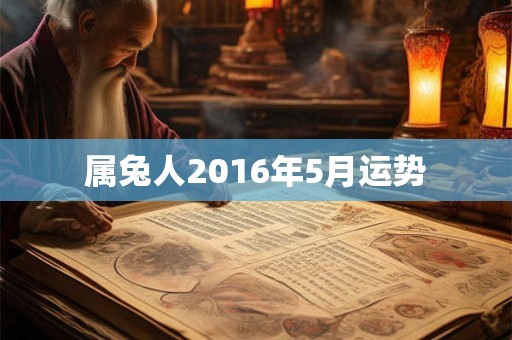 属兔人2016年5月运势