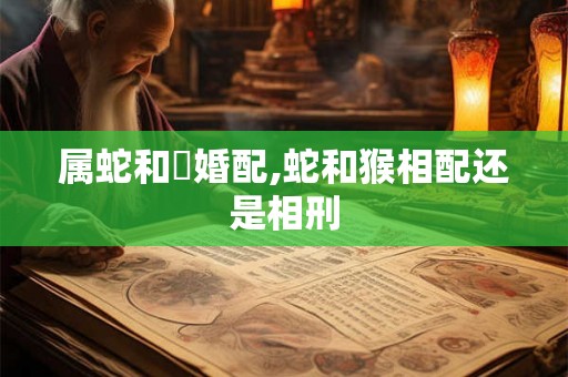 属蛇和竄婚配,蛇和猴相配还是相刑