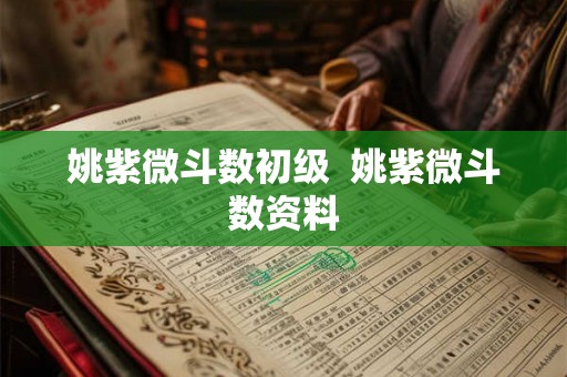 姚紫微斗数初级 姚紫微斗数资料 姚紫微斗数初级 姚紫微斗数资料