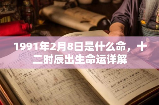1991年2月8日是什么命，十二时辰出生命运详解