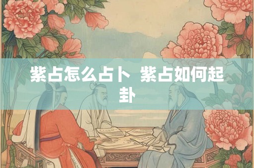 紫占怎么占卜  紫占如何起卦