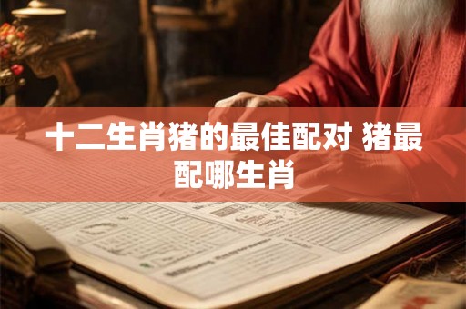 十二生肖猪的最佳配对 猪最配哪生肖