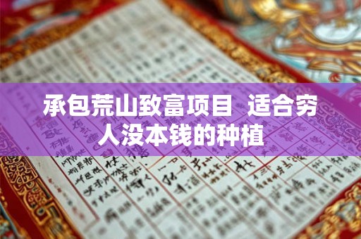 承包荒山致富项目  适合穷人没本钱的种植