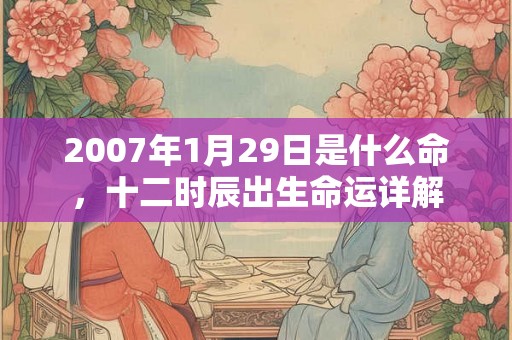 2007年1月29日是什么命，十二时辰出生命运详解