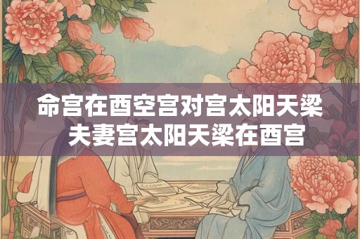命宫在酉空宫对宫太阳天梁  夫妻宫太阳天梁在酉宫