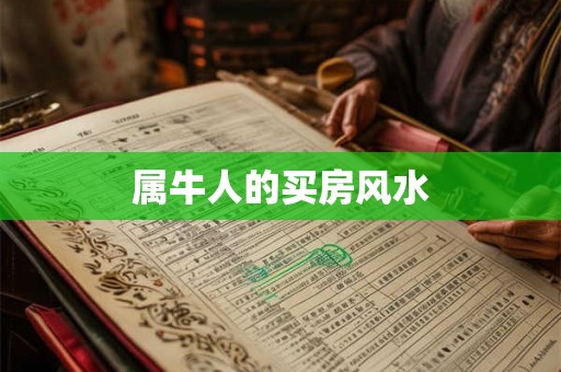 属牛人的买房风水