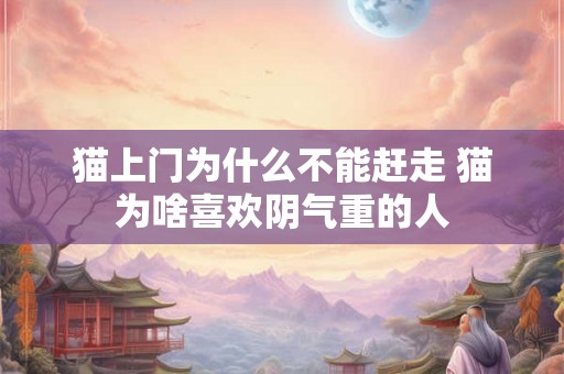 猫上门为什么不能赶走 猫为啥喜欢阴气重的人