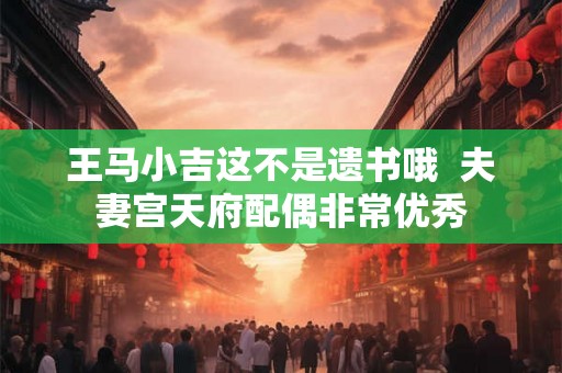 王马小吉这不是遗书哦  夫妻宫天府配偶非常优秀