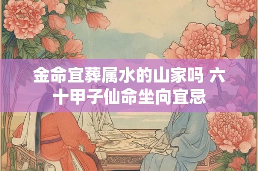 金命宜葬属水的山家吗 六十甲子仙命坐向宜忌
