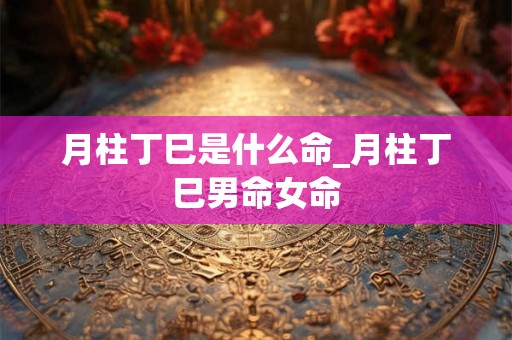月柱丁巳是什么命_月柱丁巳男命女命