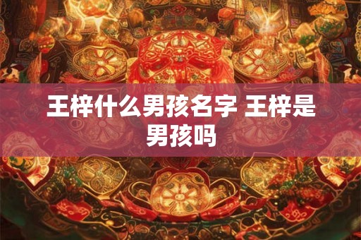 王梓什么男孩名字 王梓是男孩吗