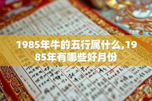 1985年牛的五行属什么,1985年有哪些好月份