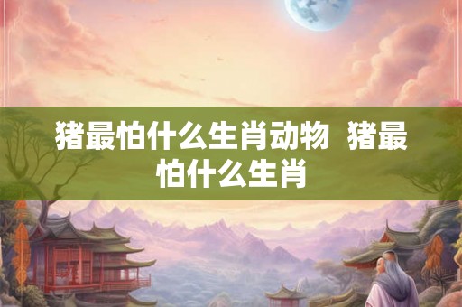 猪最怕什么生肖动物 猪最怕什么生肖 猪最怕什么生肖动物 猪最怕什么生肖