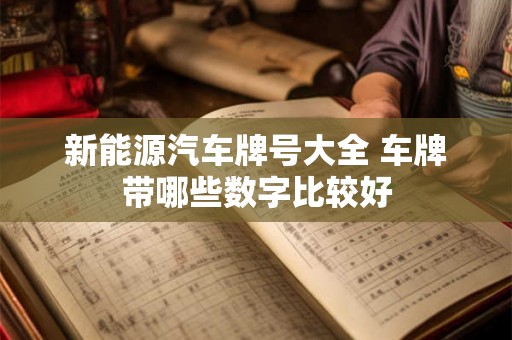 新能源汽车牌号大全 车牌带哪些数字比较好