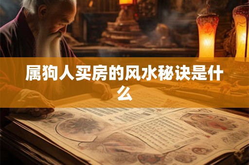 属狗人买房的风水秘诀是什么