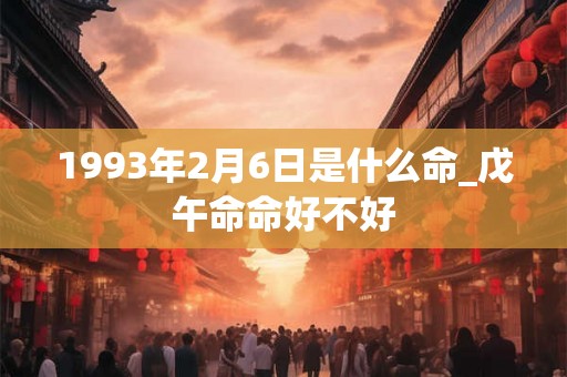 1993年2月6日是什么命_戊午命命好不好