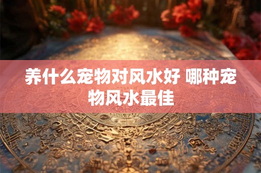 养什么宠物对风水好 哪种宠物风水最佳 养什么宠物对风水好 哪种宠物风水最佳
