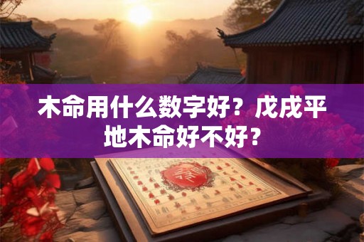 木命用什么数字好?戊戌平地木命好不好? 木命用什么数字好?戊戌平地木命好不好?