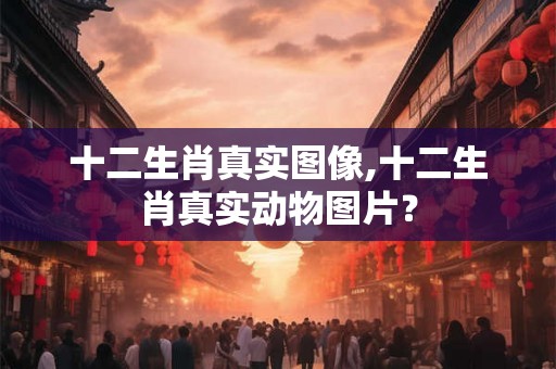 十二生肖真实图像,十二生肖真实动物图片？