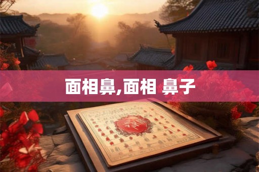 面相鼻,面相 鼻子