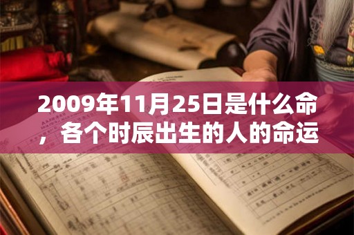 2009年11月25日是什么命，各个时辰出生的人的命运