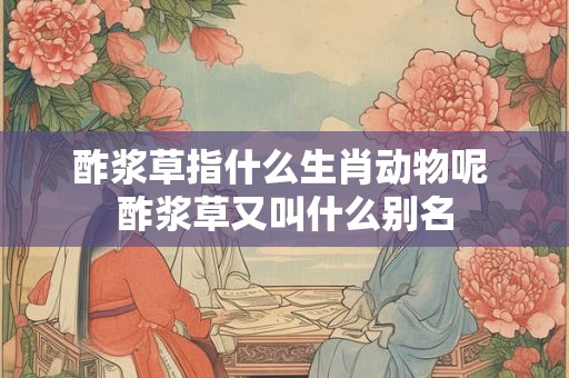 酢浆草指什么生肖动物呢 酢浆草又叫什么别名